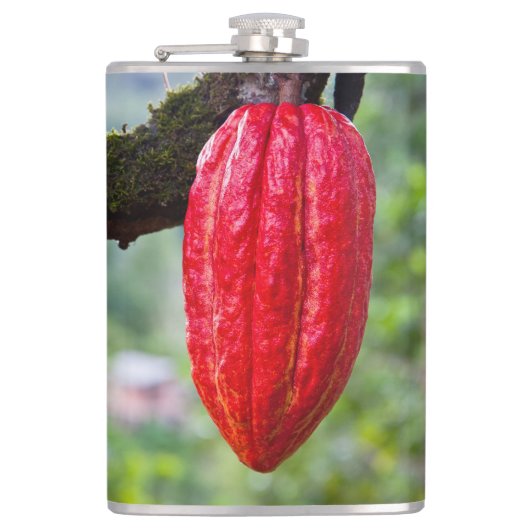 Kakaotorrot Flachmann (Vorderseite)