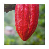 Kakaotorrot Fliese (Vorderseite)