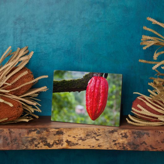 Kakaotorrot Fotoplatte (Seite)