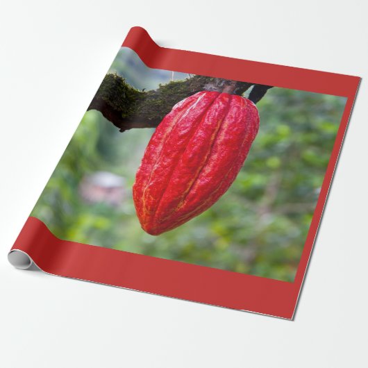 Kakaotorrot Geschenkpapier (Ungerollt)