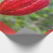 Kakaotorrot Geschenkpapier (Ecke)