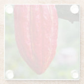 Kakaotorrot Glasuntersetzer (Rückseite)