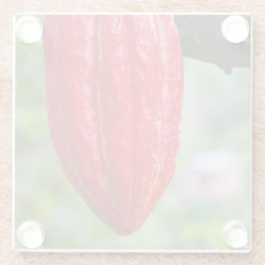 Kakaotorrot Glasuntersetzer (Rückseite)