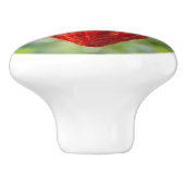 Kakaotorrot Keramikknauf (Seitenansicht)