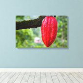 Kakaotorrot Leinwanddruck (Insitu (Holzboden))