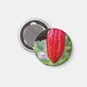 Kakaotorrot Magnet (Vorderseite/Rückseite)