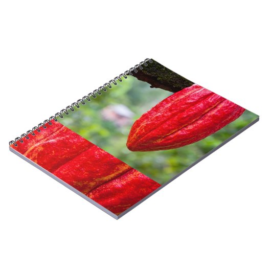 Kakaotorrot Notizblock (Linke Seite)