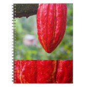 Kakaotorrot Notizblock (Vorderseite)