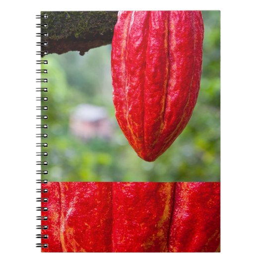 Kakaotorrot Notizblock (Vorderseite)