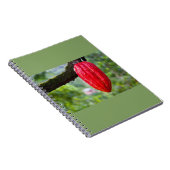 Kakaotorrot Notizblock (Rechte Seite)