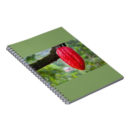 Kakaotorrot Notizblock (Rechte Seite)