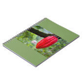 Kakaotorrot Notizblock (Linke Seite)