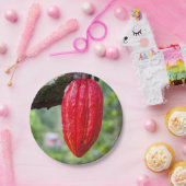 Kakaotorrot Pappteller (Party)