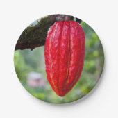 Kakaotorrot Pappteller (Vorderseite)