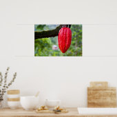 Kakaotorrot Poster (Küche)