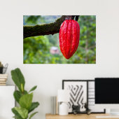 Kakaotorrot Poster (Heimbüro)