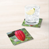 Kakaotorrot Rechteckiger Pappuntersetzer (Vor Ort)