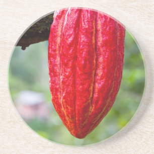 Kakaotorrot Sandstein Untersetzer