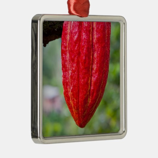 Kakaotorrot Silbernes Ornament (Rechts)
