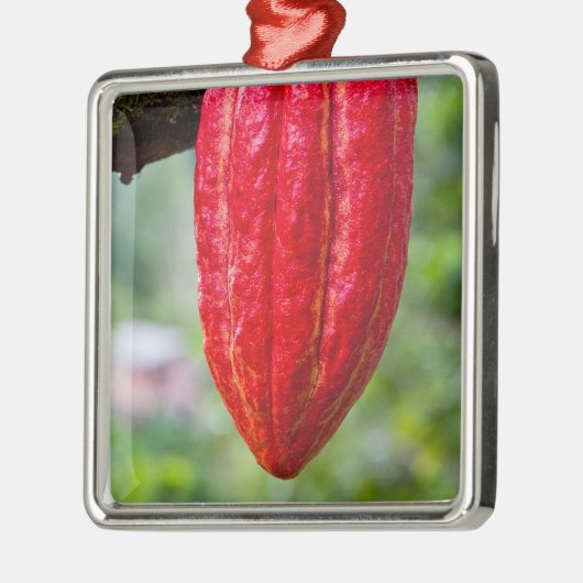 Kakaotorrot Silbernes Ornament (Links)
