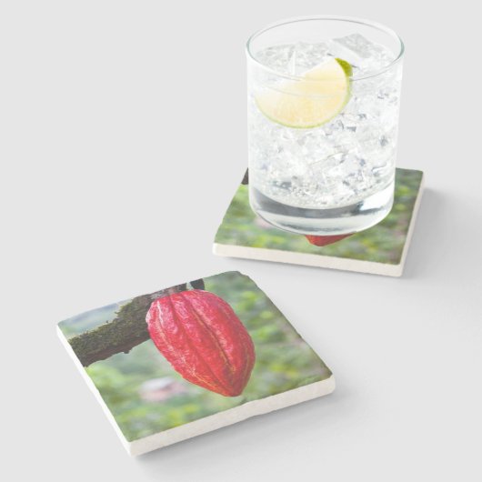 Kakaotorrot Steinuntersetzer (Seitenansicht)