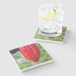 Kakaotorrot Steinuntersetzer