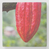 Kakaotorrot Steinuntersetzer (Vorderseite)