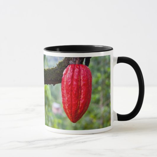 Kakaotorrot Tasse (Rechts)
