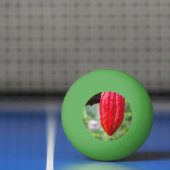 Kakaotorrot Tischtennisball (Netto)