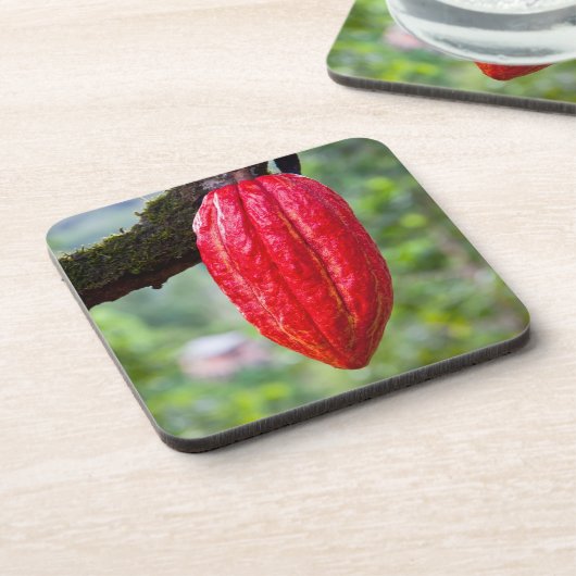 Kakaotorrot Untersetzer (Linke Seite)