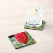 Kakaotorrot Untersetzer (Rechte Seite)