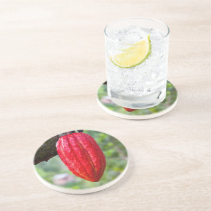 Kakaotorrot Untersetzer