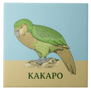 Kakapo-Abbildung Fliese
