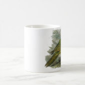 Kakapo Grüner Papagei, seltene Vogeltäuschung Kaffeetasse (Mittel)