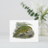 Kakapo Grüner Papagei, seltene Vogeltäuschung Postkarte (Stehend Vorderseite)