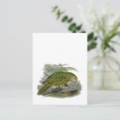 Kakapo Grüner Papagei, seltene Vogeltäuschung Postkarte (Stehend Vorderseite)