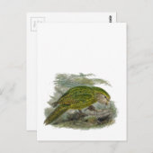 Kakapo Grüner Papagei, seltene Vogeltäuschung Postkarte (Vorne/Hinten)
