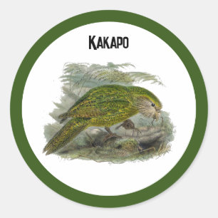 Kakapo Grüner Papagei, seltene Vogeltäuschung Runder Aufkleber