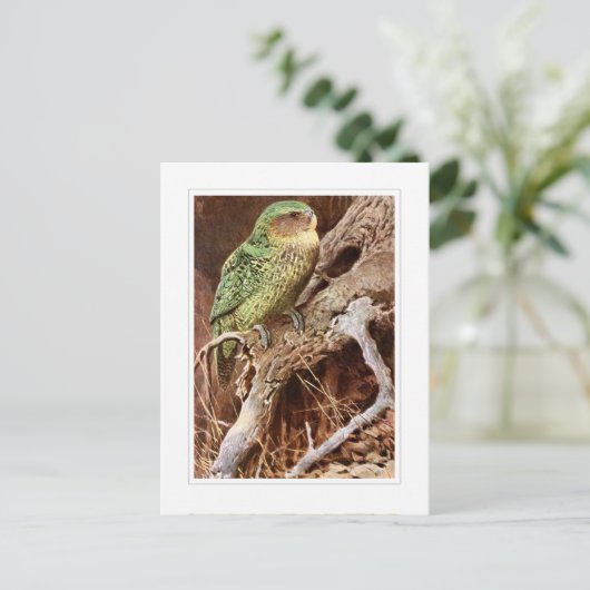 Kakapo Postkarte (Stehend Vorderseite)