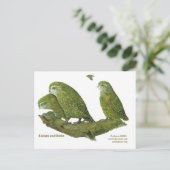 Kakapo und Küken Postkarte (Stehend Vorderseite)