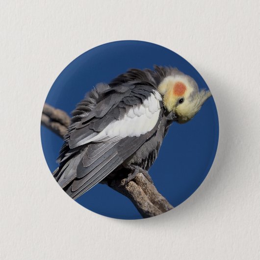 Kakatie Button (Vorderseite)
