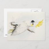 Kakatogelb Postkarte (Vorne/Hinten)