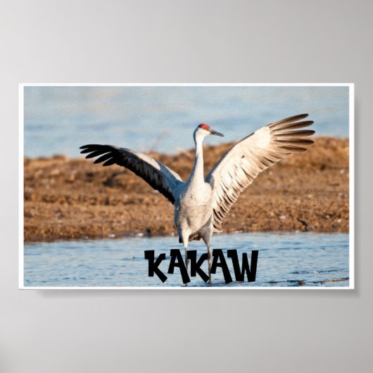 KAKAW Poster (Vorne)