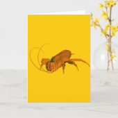 Kakerlake Karte (Gelbe Blume)