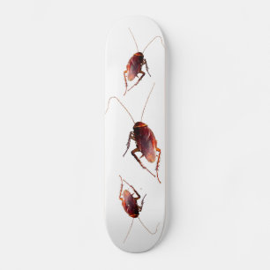 Kakerlake Skateboard