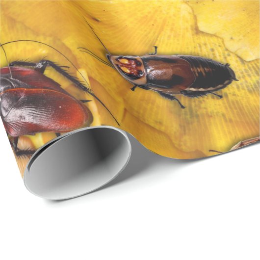 Kakerlaken Geschenkpapier (Rolleneckpunkt)