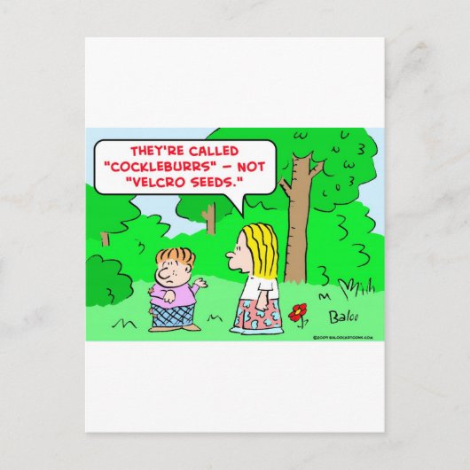 Kakersamen Postkarte (Vorderseite)