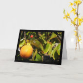 Kaki-Frucht am Baum Karte (Gelbe Blume)