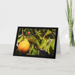 Kaki-Frucht am Baum Karte