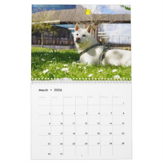 Kaki-Maru-Kalender 2025 Kalender (Mär 2026)